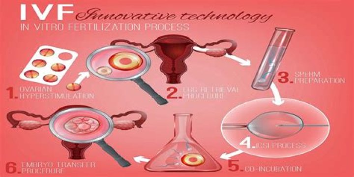 Should I do IVF after hysteroscopy in next cycle?