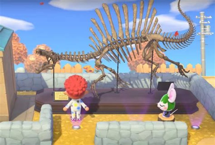 Should I keep fossils in Animal Crossing?