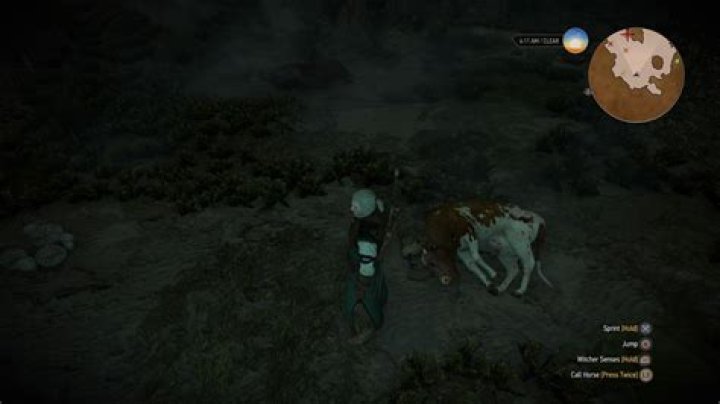 Should I let Niellen kill?