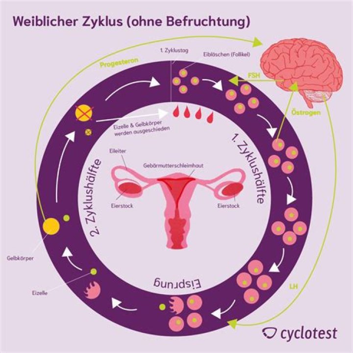 Wann im Zyklus Stimmungsschwankungen?