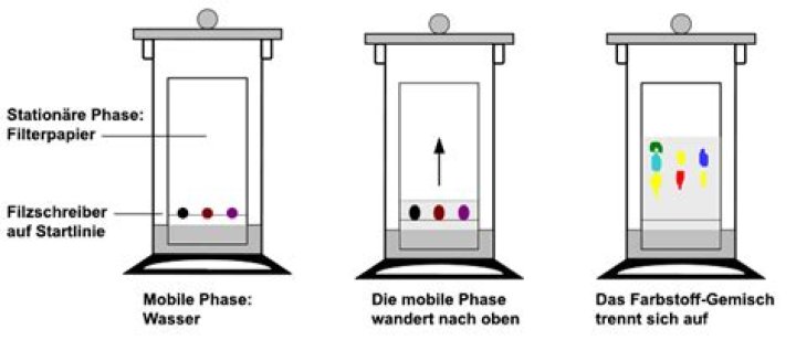 Was ist das Prinzip der Chromatographie?