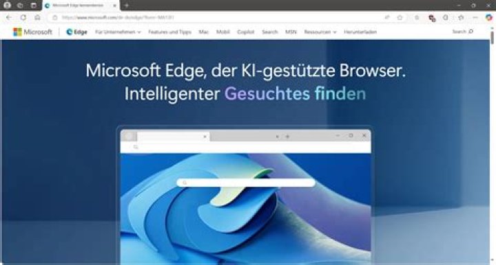 Was ist ein Browser Fenster?