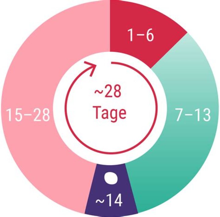 Was ist ein normaler Zyklus?