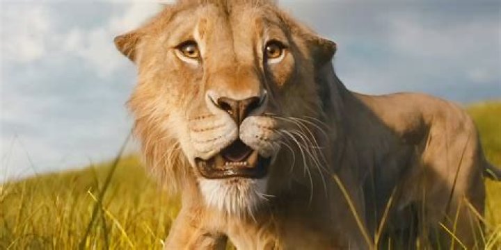 Was Simba responsible for Mufasa's death?