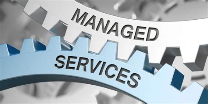 Was versteht man unter Managed Services?