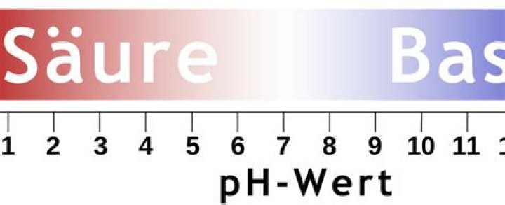 Welche Fische bei pH Wert 8?