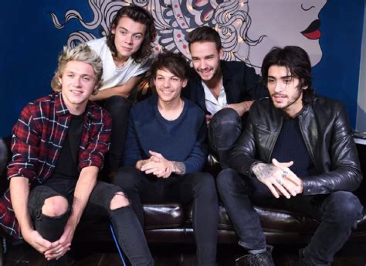Wer ist in One Direction?