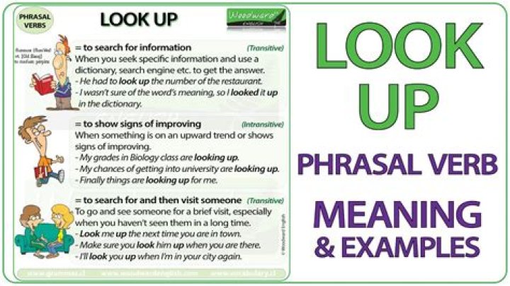 What's a word for look up to?