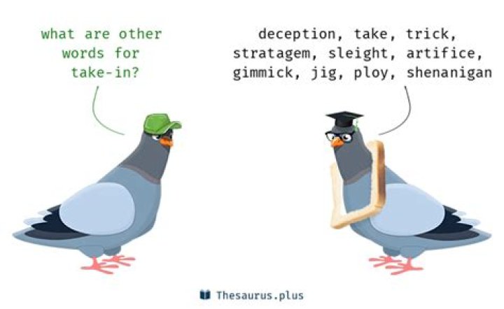 What's a word for take in?