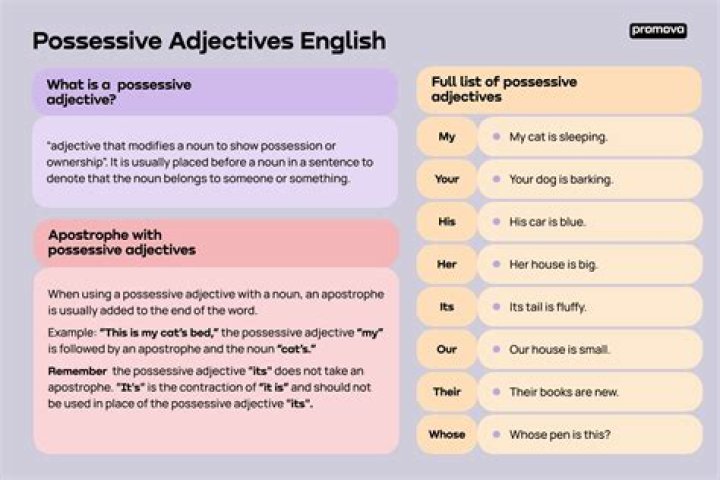 What's another word for possessive?