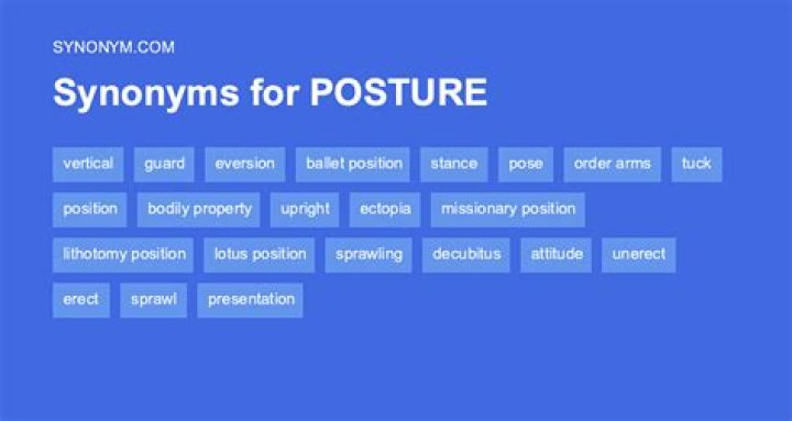 What's another word for posture?