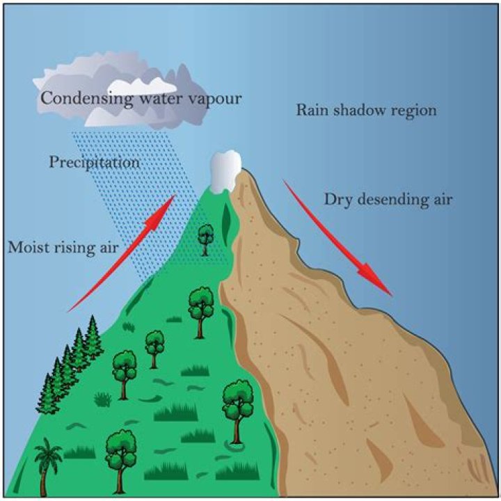 What's another word for rainfall?