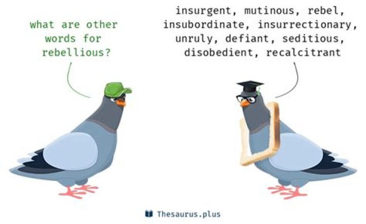 What's another word for rebellious?