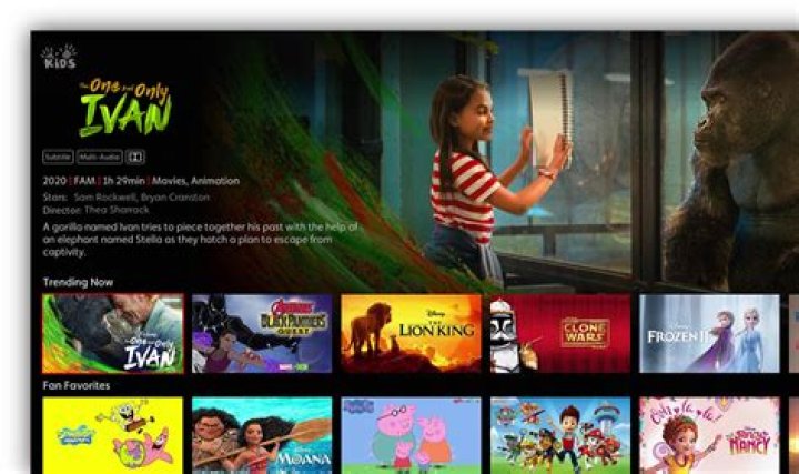 What's available on OSN?