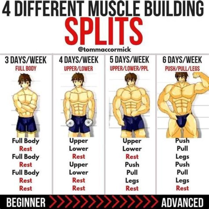 What's the best split for building muscle?