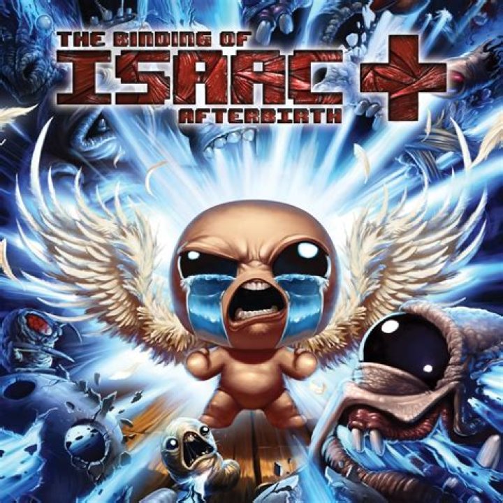 What's the difference between the binding of Isaac and rebirth?