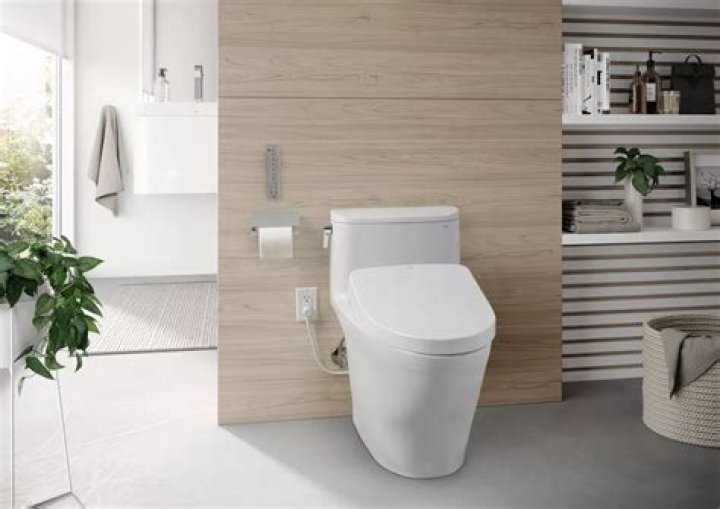 What's the difference between Toto Washlet and washlet+?