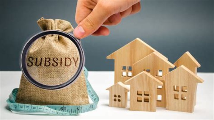 What's the meaning of subsidy?