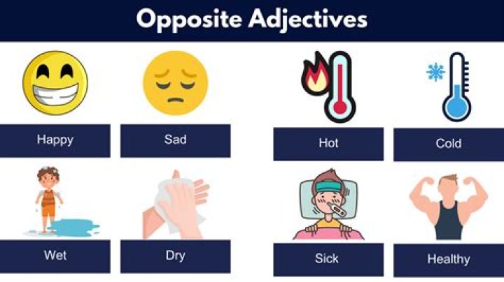What's the opposite of rent?