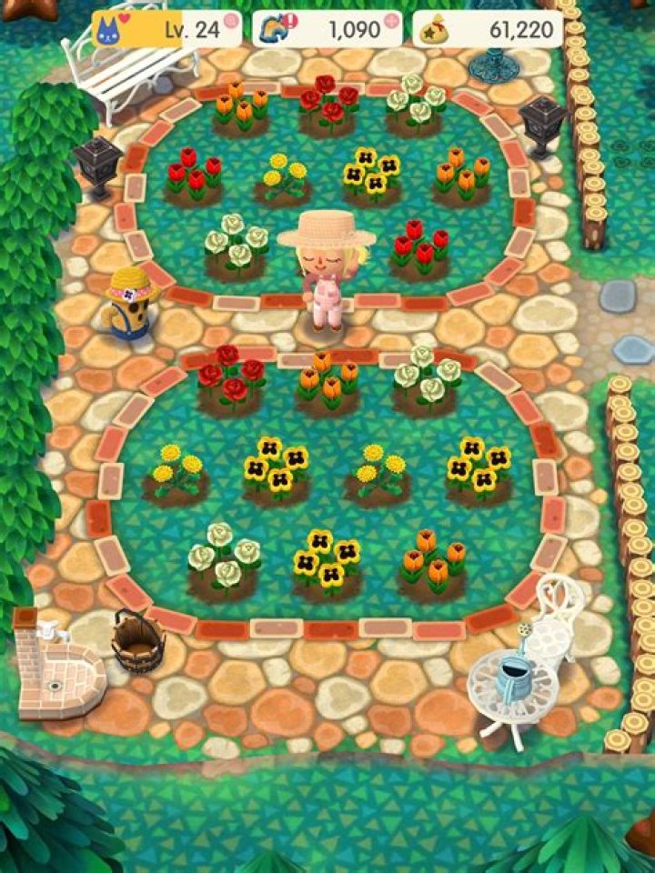 What's the point of Animal Crossing pocket camp?