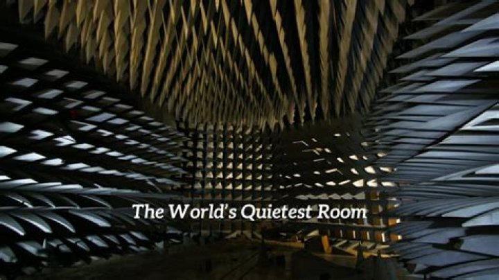 What's the quietest room in the world?
