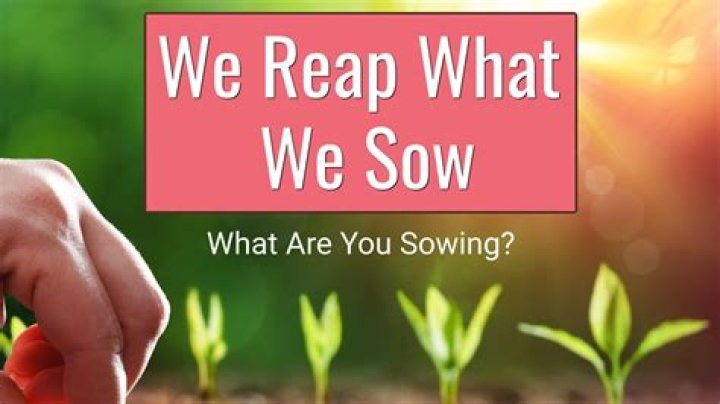 What a man sows so shall he reap?