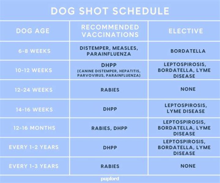 What age do puppies have their injections?