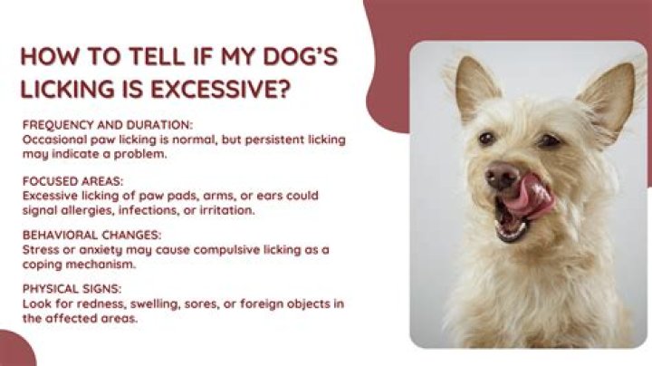 What animal is a licker?