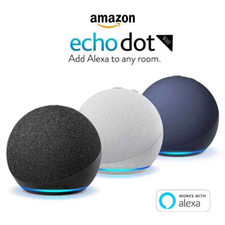 What app do you download for Echo dot?