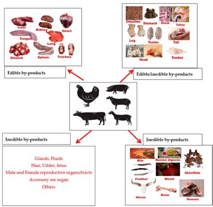 What are 5 by-products of animals?