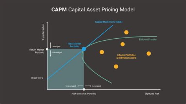 What are all the assumptions used in the CAPM and arbitrage pricing theory?
