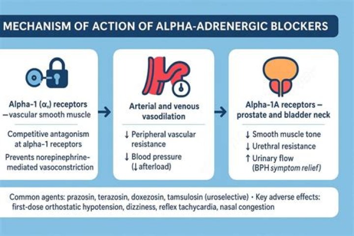 What are alpha 1 adrenergic blockers used for?