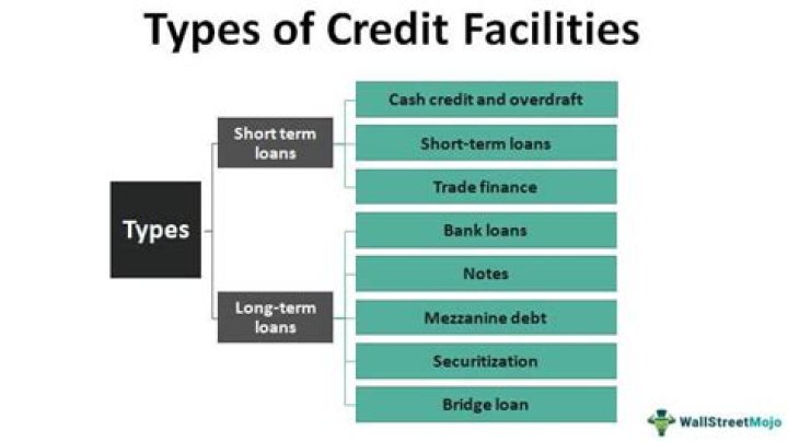 What are bank credit facilities?