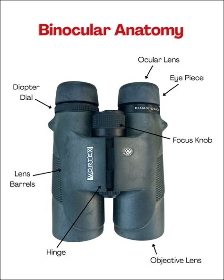 What are binoculars with one eye called?