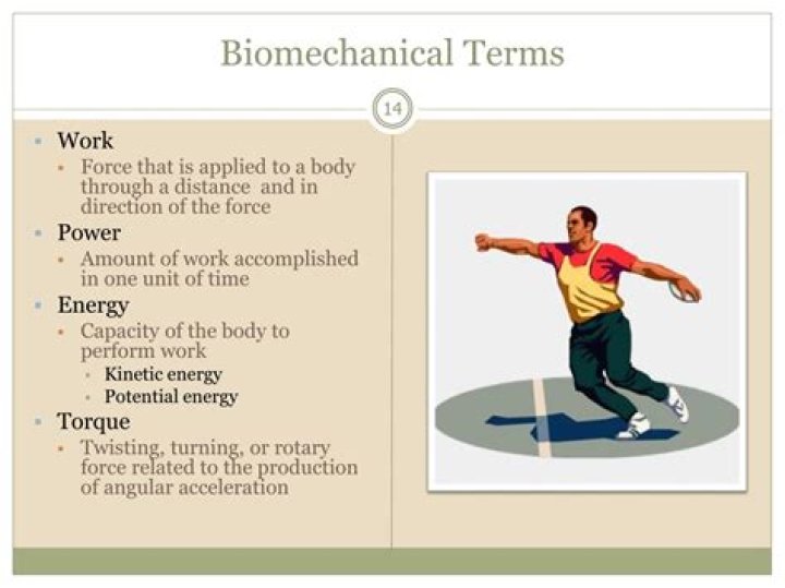 What are biomechanical terms?