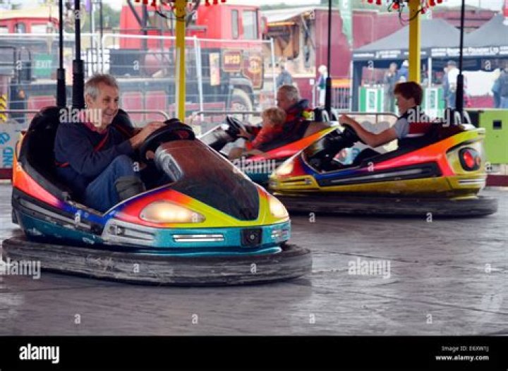 What are bumper cars also called?