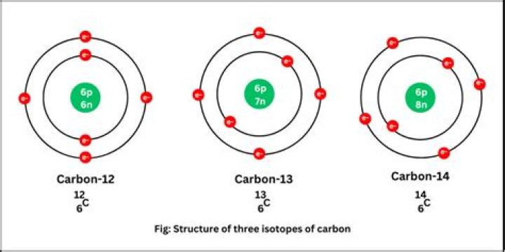 What are carbon isotopes?