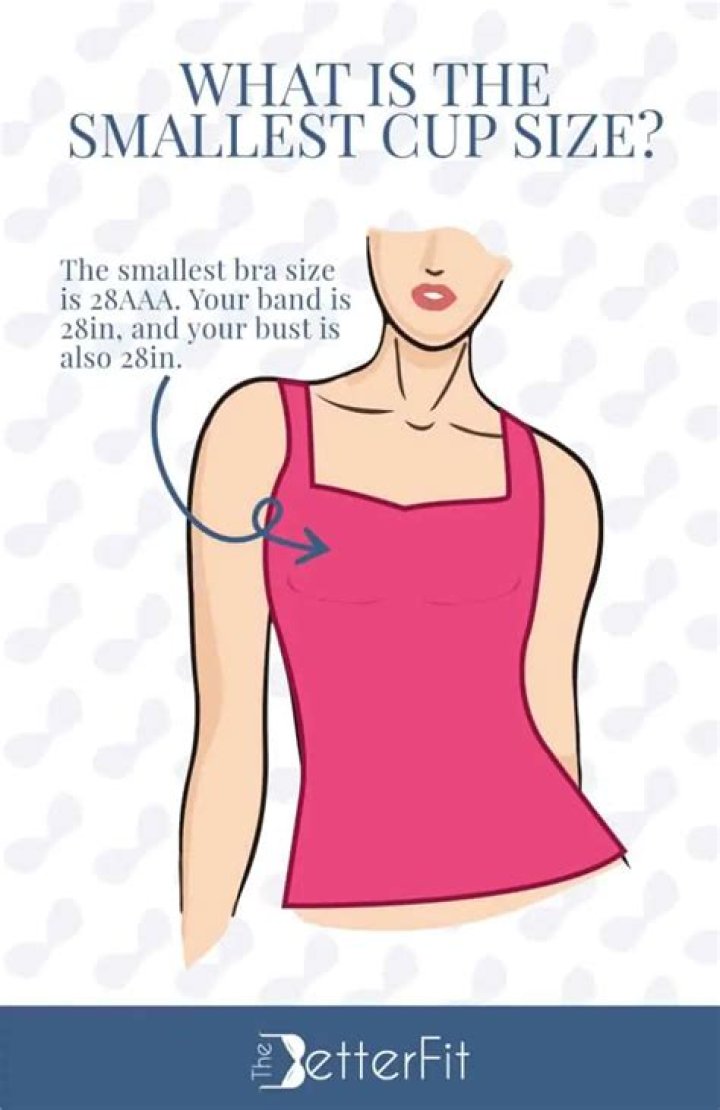 What are considered small breasts?