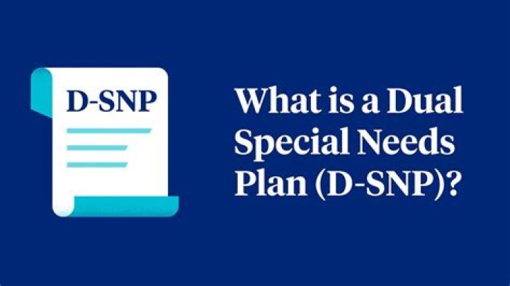 What are dual special needs plans?