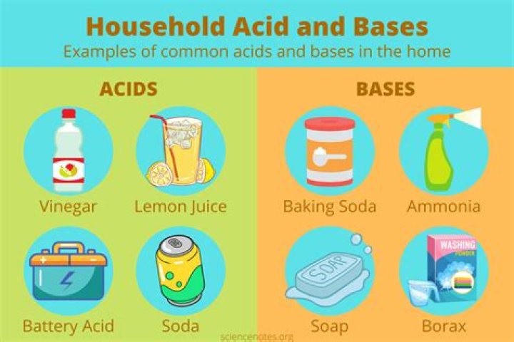 What are examples of acids used at your house?