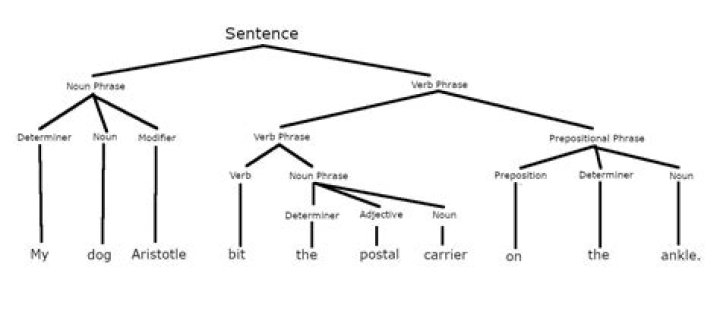 What are examples of constituents?