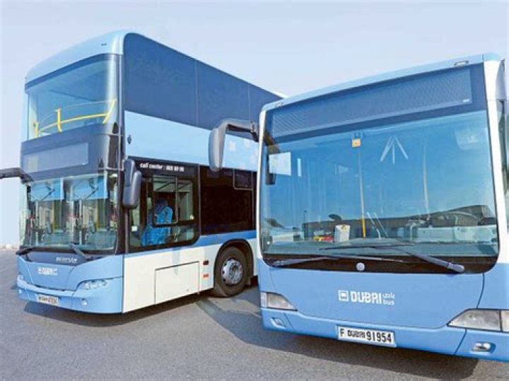 What are feeder buses?