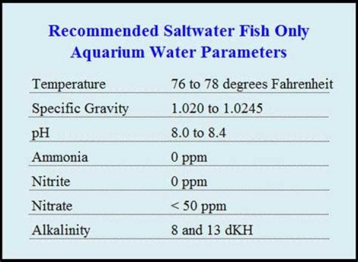 What are good saltwater parameters?
