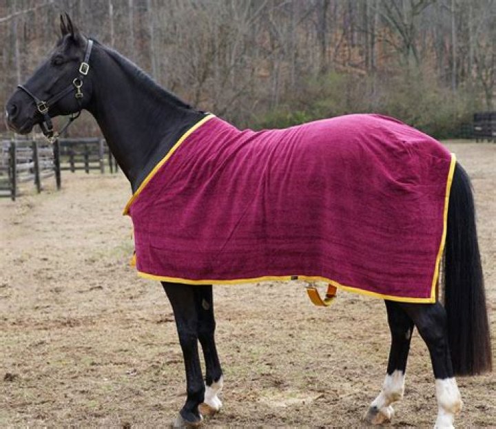 What are horse blankets made of?