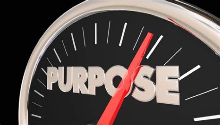 What are impact companies?