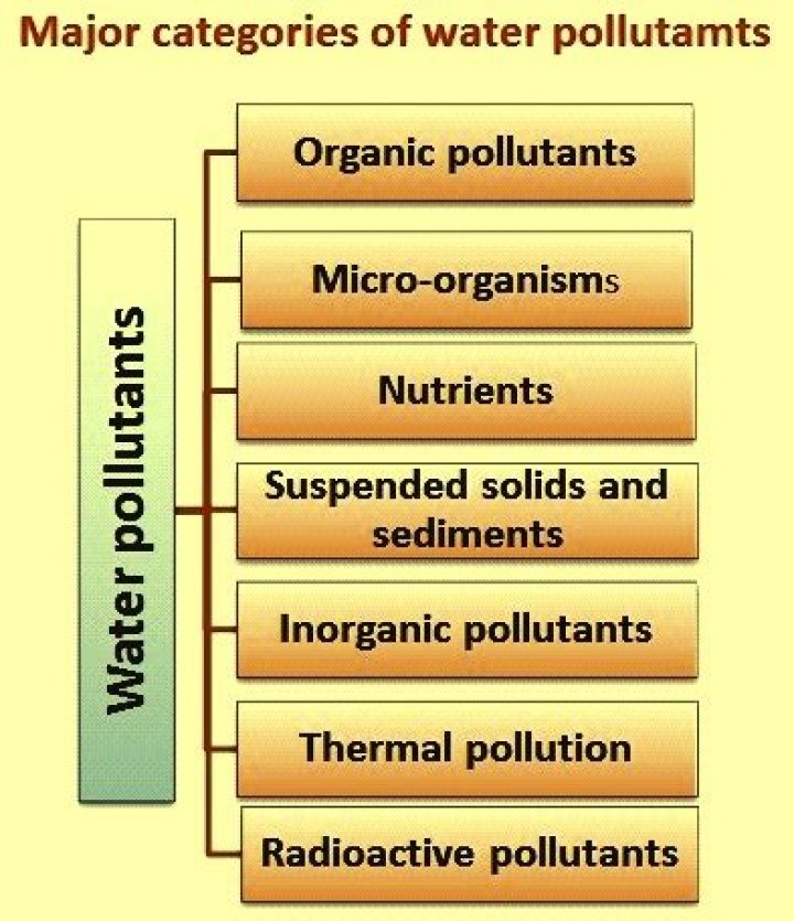 What are inorganic water pollutants?