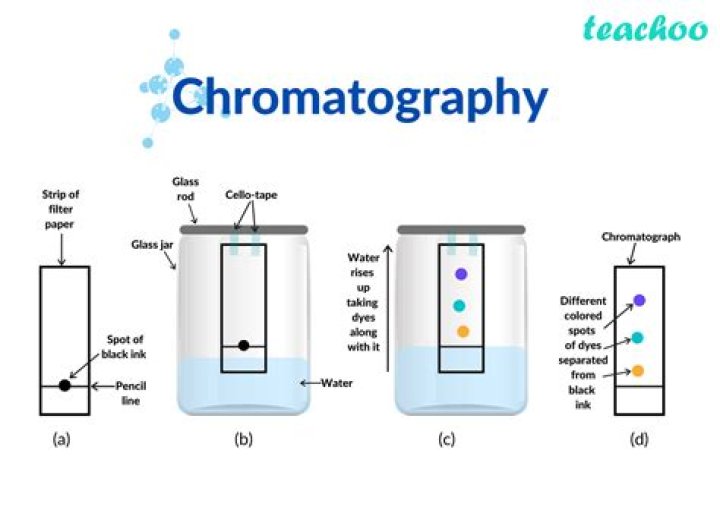 What are mixtures that can be separated by chromatography?