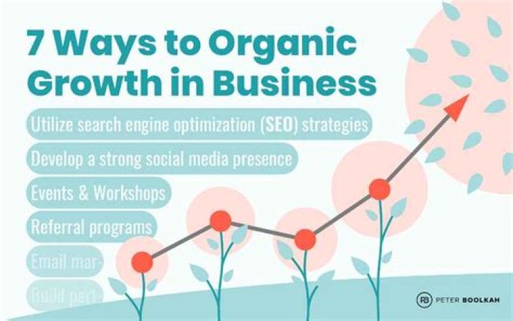 What are organic growth strategies?