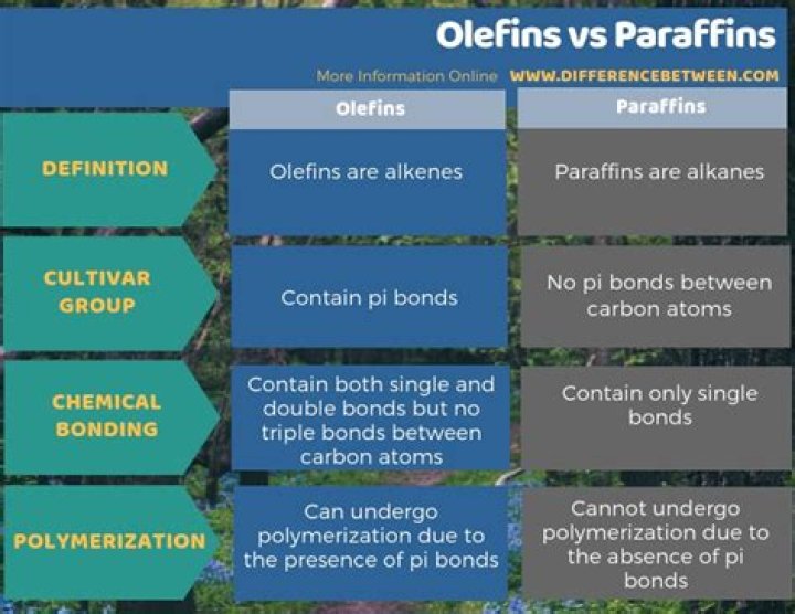 What are paraffins and olefins?
