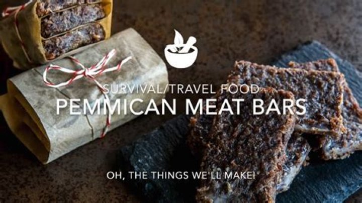 What are pemmican bars?